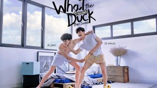 รู้ได้อย่างไรว่าตัวเองไม่เป็นเกย์ ถ้ายังไม่เคยลองกับผู้ชาย? what the duck? (ดีนะที่คำสุดท้ายไม่ขึ้นต้นด้วย F )