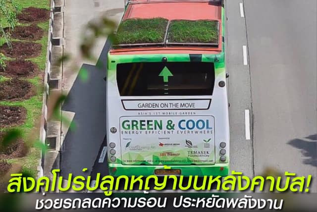 สิงคโปร์โชว์เทพ ปลูกหญ้าบนหลังคารถบัส ช่วยลดความร้อนตัวรถ และประหยัดพลังงาน!