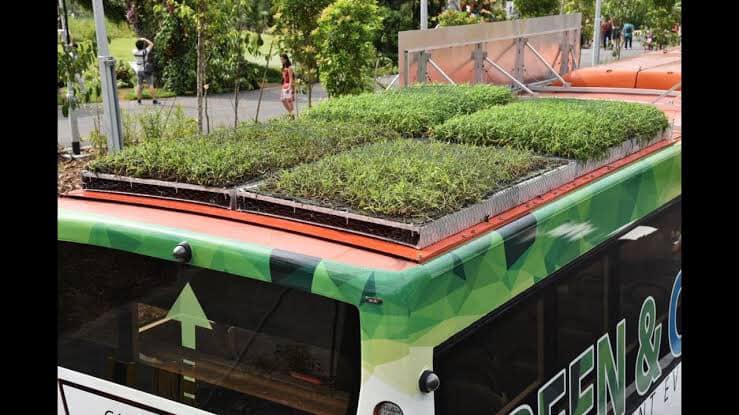 สิงคโปร์โชว์เทพ ปลูกหญ้าบนหลังคารถบัส ช่วยลดความร้อนตัวรถ และประหยัดพลังงาน!