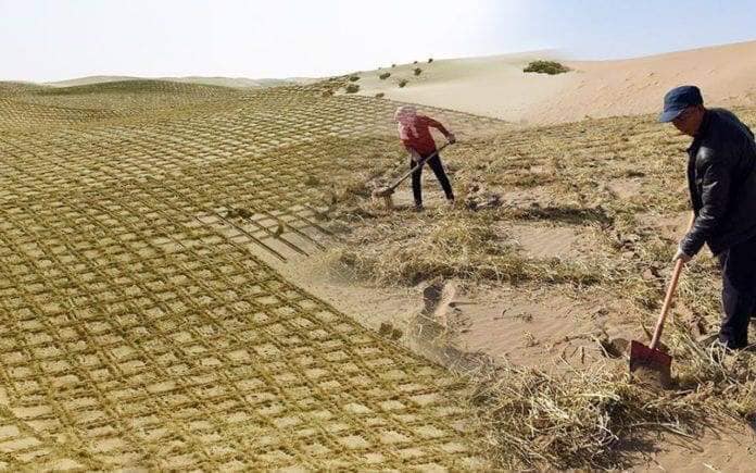 จีนทำทะเลทราย​ให้เป็นป่า แต่บ้านเรากำลังทำป่าให้กลายเป็นทะเลทราย?