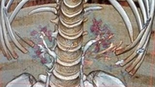 เจ็บทรมานน่าดู!! ภรรยาถูกสามีขู่ ไม่ให้บอกใคร หลังสามีใช้ แฮนด์มอไซค์ สอดช่องคลอด ระหว่างเมา