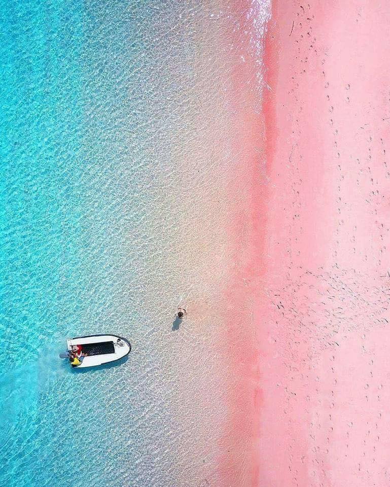 เคยเห็นไหม? "Pink Beach" ชายหาดสีชม ทรายนุ่ม น้ำใส น่าไปสุดๆในเอเชียตะวันออกเฉียงใต้