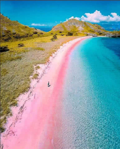 เคยเห็นไหม? "Pink Beach" ชายหาดสีชม ทรายนุ่ม น้ำใส น่าไปสุดๆในเอเชียตะวันออกเฉียงใต้
