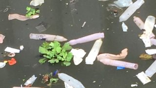 กทม.ตรวจสอบโรงแรมย่านจรัญฯ หลังมีภาพถุงยางลอยเกลื่อนคลอง