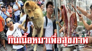 ผู้นำเกาหลีใต้ วอนหยุดความเชื่อ "กินเนื้อสุนัขเพื่อสุขภาพ" พร้อมเปิดตัว เจ้าตูบหมายเลข1 แห่งโสมใต้ ผู้รอดชีวิตจากฟาร์มเนื้อหมา