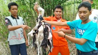 กู้ภัยค้นหาคนสูญหาย แต่ดันไปเจอยกทรงไซส์บึ้มๆ 78 ชิ้น