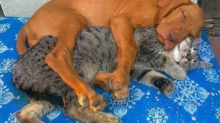 25 สิ่งเล็กๆที่เรียกว่ารัก ที่เปิดใจเรา และเป็น&rdquo;เพื่อนที่ดีที่สุด&rdquo;ตลอดกาล