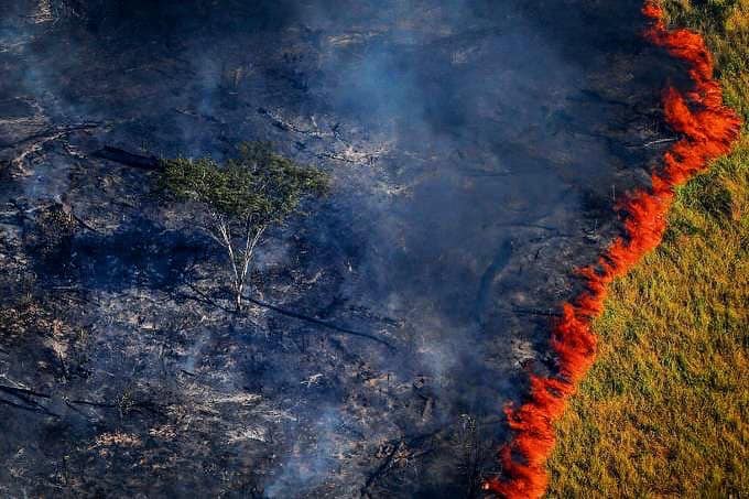 ‘ไฟป่าแอมะซอน’17 วันยังไม่ดับ วิกฤตสุดรอบ 6 ปีทั่วโลกผุดแฮชแท็ก #PrayForAmazon