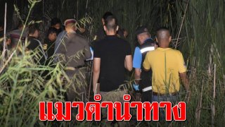 ฆ่าเปลือยสาว18 หมกหญ้าอำพราง แมวดำป้วนเปี้ยนจุดพบศพ เค้นเพื่อนผัวหาเบาะแส