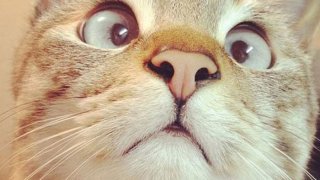 หญิงสาวรถเสียระหว่างทาง