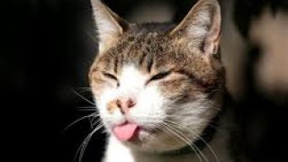 ยาย กับ หลาน