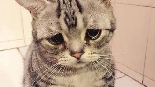 [เรื่องขำขันผู้ใหญ่] เธอคงเหนื่อย , ลืมถอด