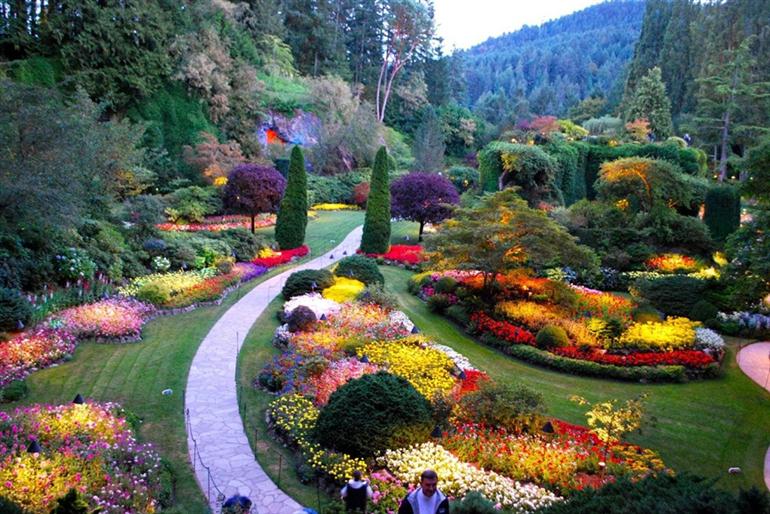 BUTCHART GARDENS นี่คือหนึ่งในสวนที่สวยที่สุดในโลก