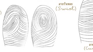 ลายนิ้วมือบอกอะไรในตัวคุณ! FINGERPRINTS SAY...