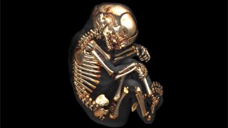 ร่างกายของเราเอง นอกจากเรื่องอวัยวะครบ 32 แล้วเนี่ย มีอะไรที่เรารู้อีกบ้าง