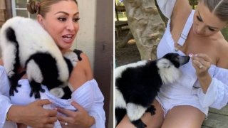 นางแบบปกเพลย์บอยโดนถล่มหนัก หลังถูกกล่าวหาว่าใช้อาหารล่อตัวลีเมอร์ให้วิ่งมาซุกอก