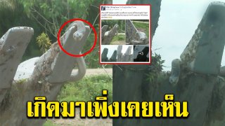 หนุ่มรถแบ็กโฮโพสต์เจองูตัวใหญ่ มีหงอนโผล่ขึ้นที่หัว ลั่นตั้งแต่เกิดมาเพิ่งเคยเจอ ชาวเน็ตบางส่วนโพสท์ "สาธุ" รัวๆ