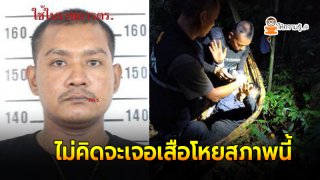 ด่วน!จับแล้ว เสือโหย เจอในป่าบนภูเขา