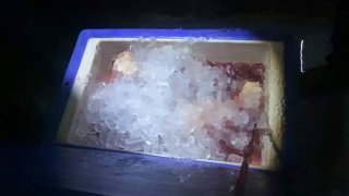 ลูกชายฆ่าหั่นศพแม่ยัดถังน้ำแข็ง หลังถูกจับได้ขืนใจลูกสาวตัวเอง