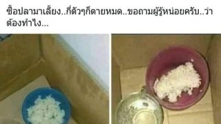 ขำคลายเครียดโควิด 01