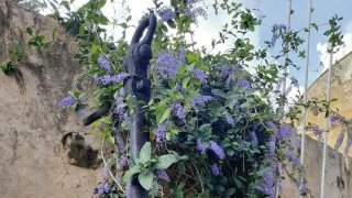 เปิดใจหญิงไทยติดค้างในศรีลังกา 2 เดือน หลังน่านฟ้าปิดช่วงโควิด-19 เจอสารพัดเรื่องราว ทั้งถูกเหยียดต้องตัดกล้วยกินประทังชีวิต