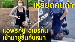 เปิดคลิปหลักฐาน รองประธานสาวเหยียดคนดำ โทรแจ้ง ตร. ลั่น เขาเข้ามาขู่ฉันกับหมา