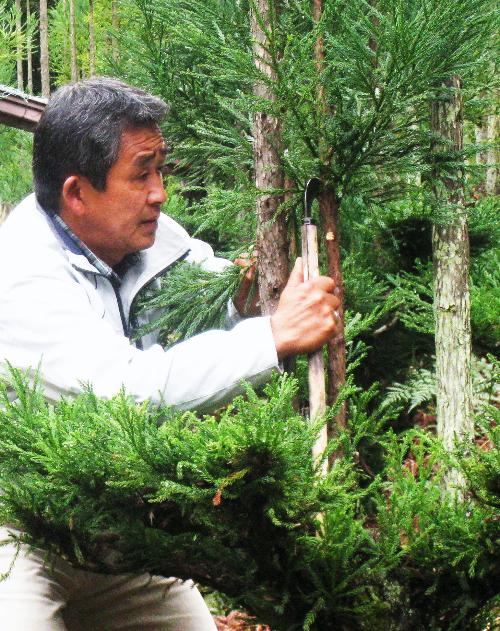 น่าทึ่งมากๆ เทคนิคผลิตไม้ของคนญี่ปุ่นโบราณ โดยไม่ต้องตัดต้นไม้ทำลายป่า