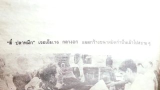 ตี๋_ปลาหมึก