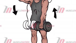 ออกกำลังกายเพื่อสร้างมัดกล้ามเนื้อที่ตัองการ