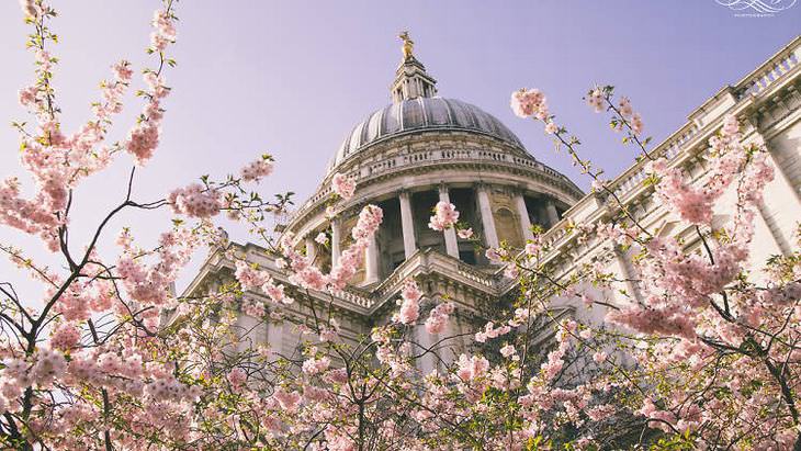 ภาพถ่ายดอกไม้บานสะพรั่งทั่วลอนดอน