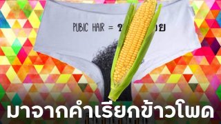 ขนหมอ-ออย มาจากคำเรียกข้าวโพด เหตุผลที่ต้องหยิก
