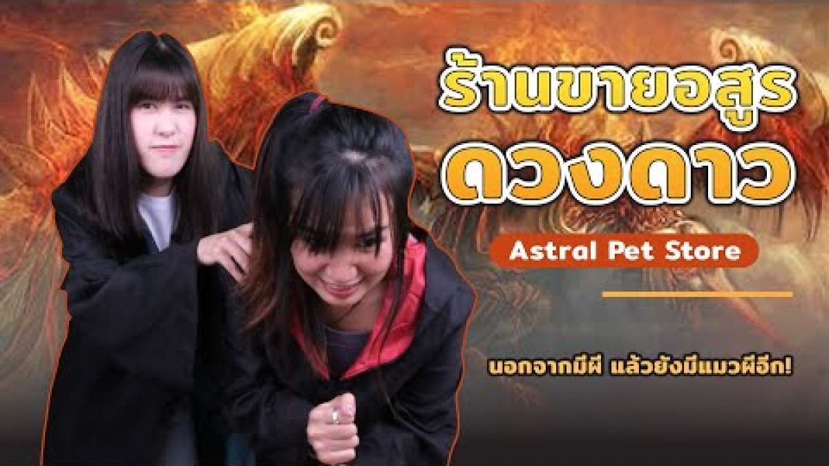 สปอยนิยาย ผีแมวเอ้ยแมวผี Astral Pet Store | Novel Talk