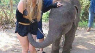 รวมภาพ ตลกๆ ทะลึ่Jๆ ปนฮา หัวเราะก๊ากเลย