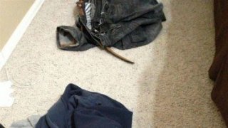 รวมภาพ ฮาๆ ขำๆ ขำแล้วขำอีกกก 555