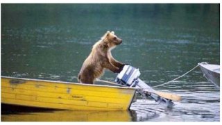 รวมภาพตลกๆ ฮาๆ หลอกตา งงงวยก่อนนอน