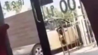 หนุ่มสาวหนอนกลางวันแสกๆ มียางอายบ้างไหมเนี่ย