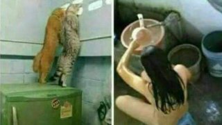 ฮาๆ ตลกๆ ก่อนนอน 🤣🤣🤣