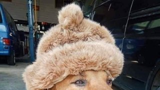 ภาพฮาๆ ขำกร๊าก ขำกลิ้งเลยย🤣🤣🤣