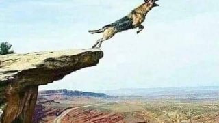 ดูภาพขำๆ เพราะการหัวเราะช่วยลดโรคได้