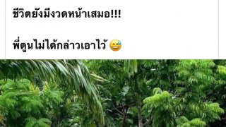 เฮ ฮา แก้เครียด เที่ยงๆ