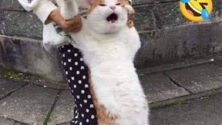 รวมภาพความฮา...ฮาแบบนี้ไม่มีอีกแล้ว!!!