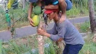 ขำขำขำ จะไม่ยอมเห็นรูปนี้คนเดียวแน่ๆ