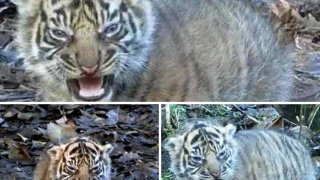 เฮฮาคลายความกังวลก่อนเริ่มงานที่เรารัก...