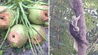 เฮฮาก่อนนอน