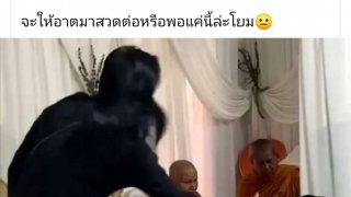 คนไทยเป็นคนตลก