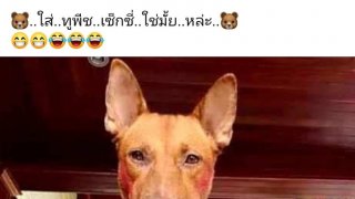 คลายสมองคนทำงาน