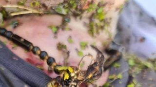 พบศพวัยรุ่นชายลอยน้ำในบึงหลังสนามกีฬารามอินทรา ซอย5....ประกาศตามหาญาติ