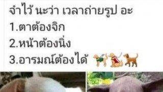 เฮฮา ขำๆ อารมณ์ดี