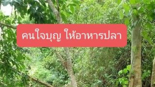 เรื่องนี้ขำ..อย่าดูคนเดียว