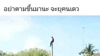 ขำก๊าก ภาพฮาๆ ตลกๆ